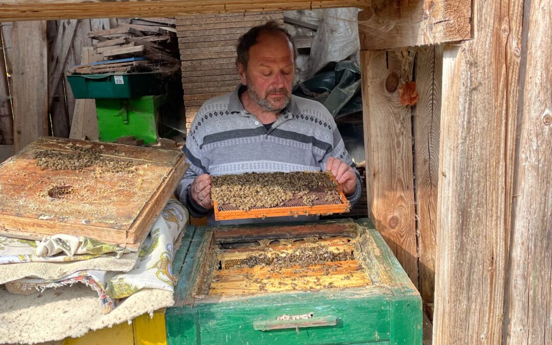 Zu Besuch bei Imker Gerd und seinen Bienen