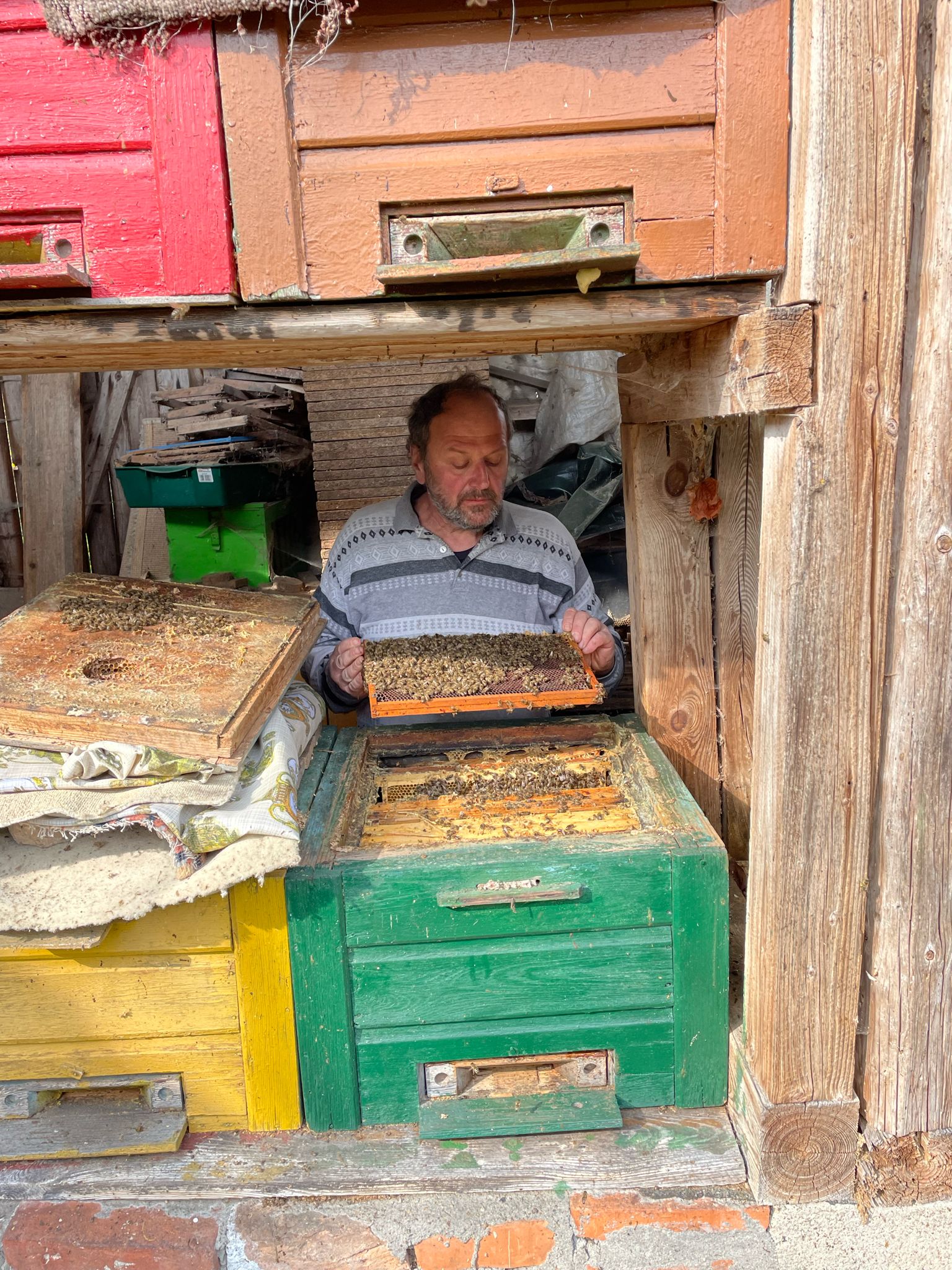 Zu Besuch bei Imker Gerd und seinen Bienen